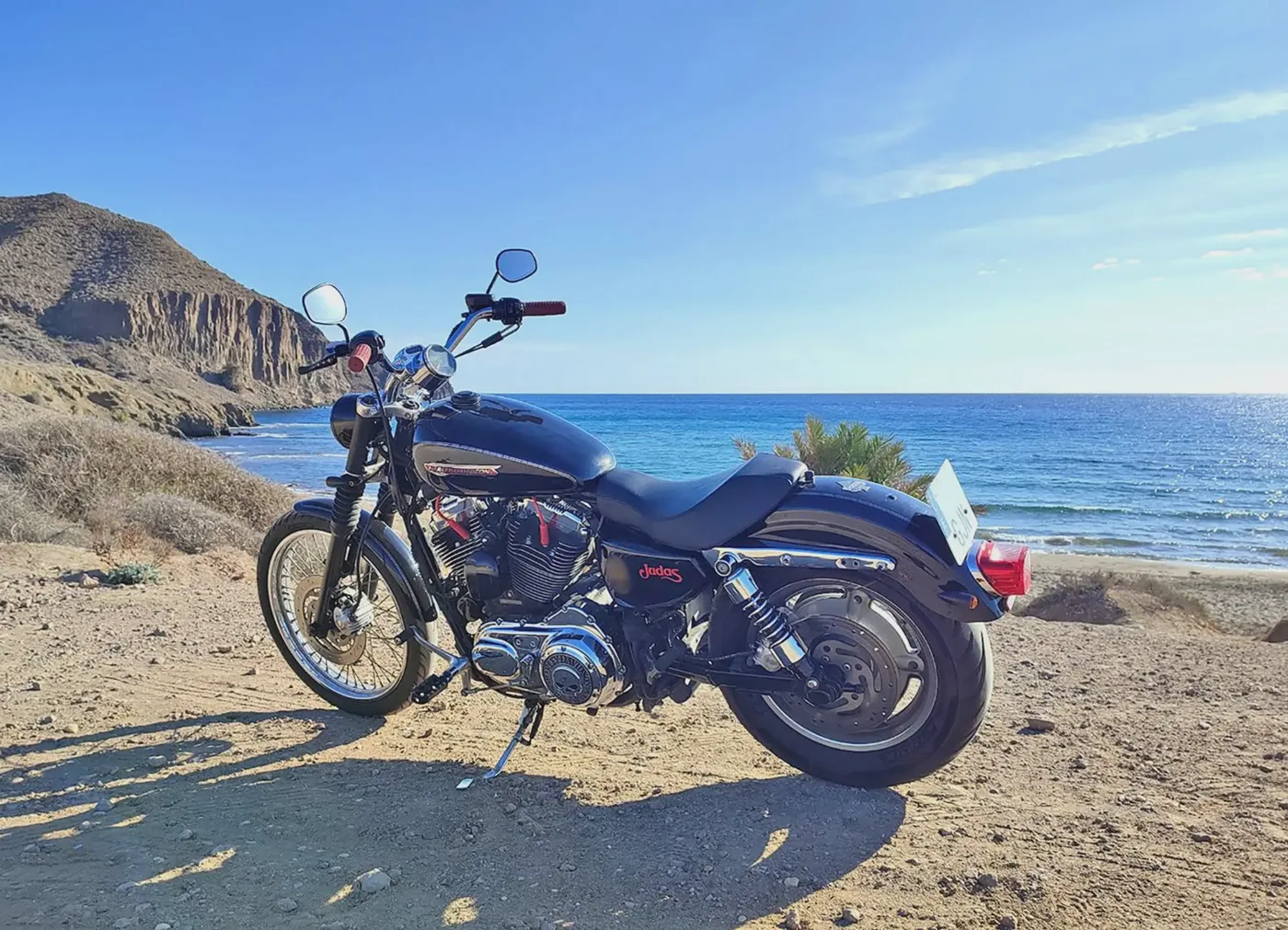 Harley-Davidson Sportster 1200 Custom 7000 € 2008 Almería - 1