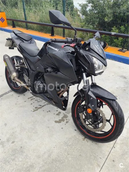 Kawasaki Z300 - Vista 1