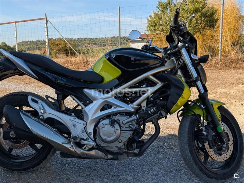 Suzuki Gladius 650 - Vista 1