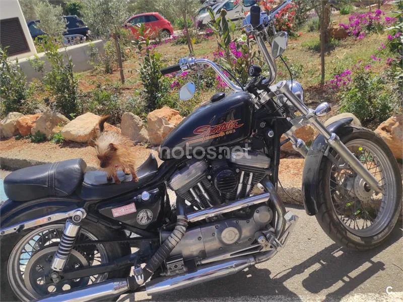 Harley-Davidson Sportster 883 5200 € 1999 Illes Balears - 1