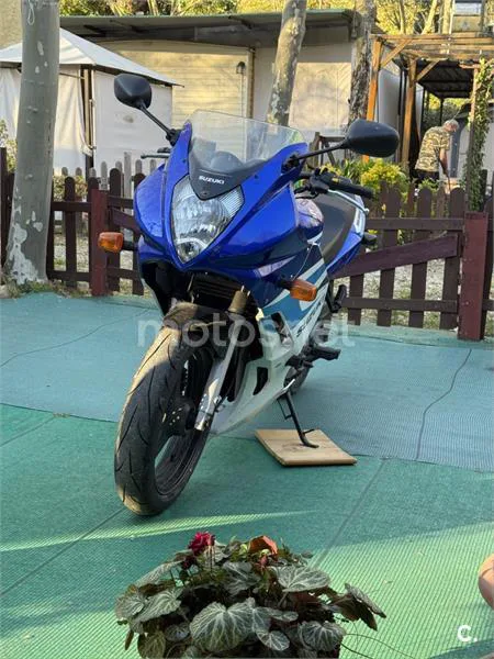 Suzuki GS500F - Vista 1