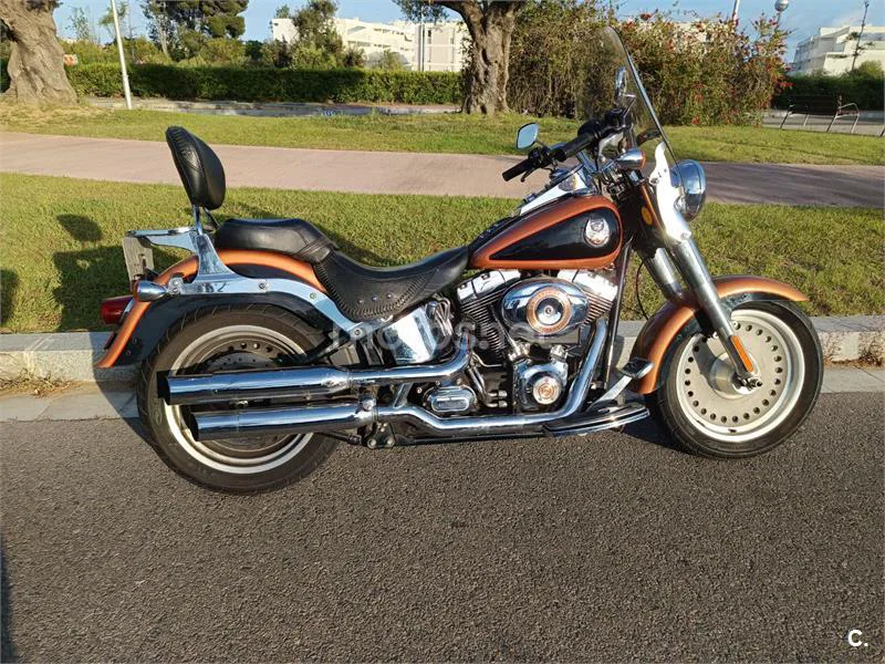 Harley-Davidson Bad Boy - Vista 1