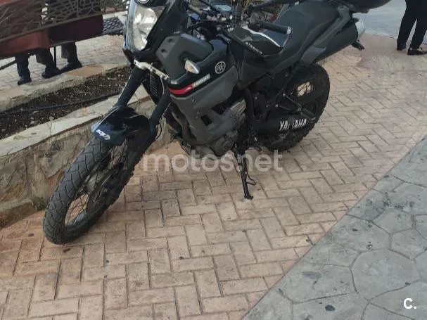 Yamaha XT660Z Ténéré 3800 € 2011 Córdoba - 1