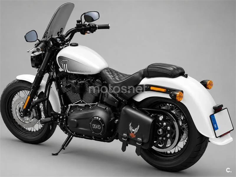 Harley-Davidson Softail Slim - Vista 1