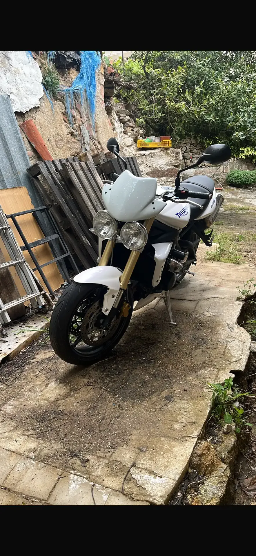 Triumph Street Triple 675 - Vista 1