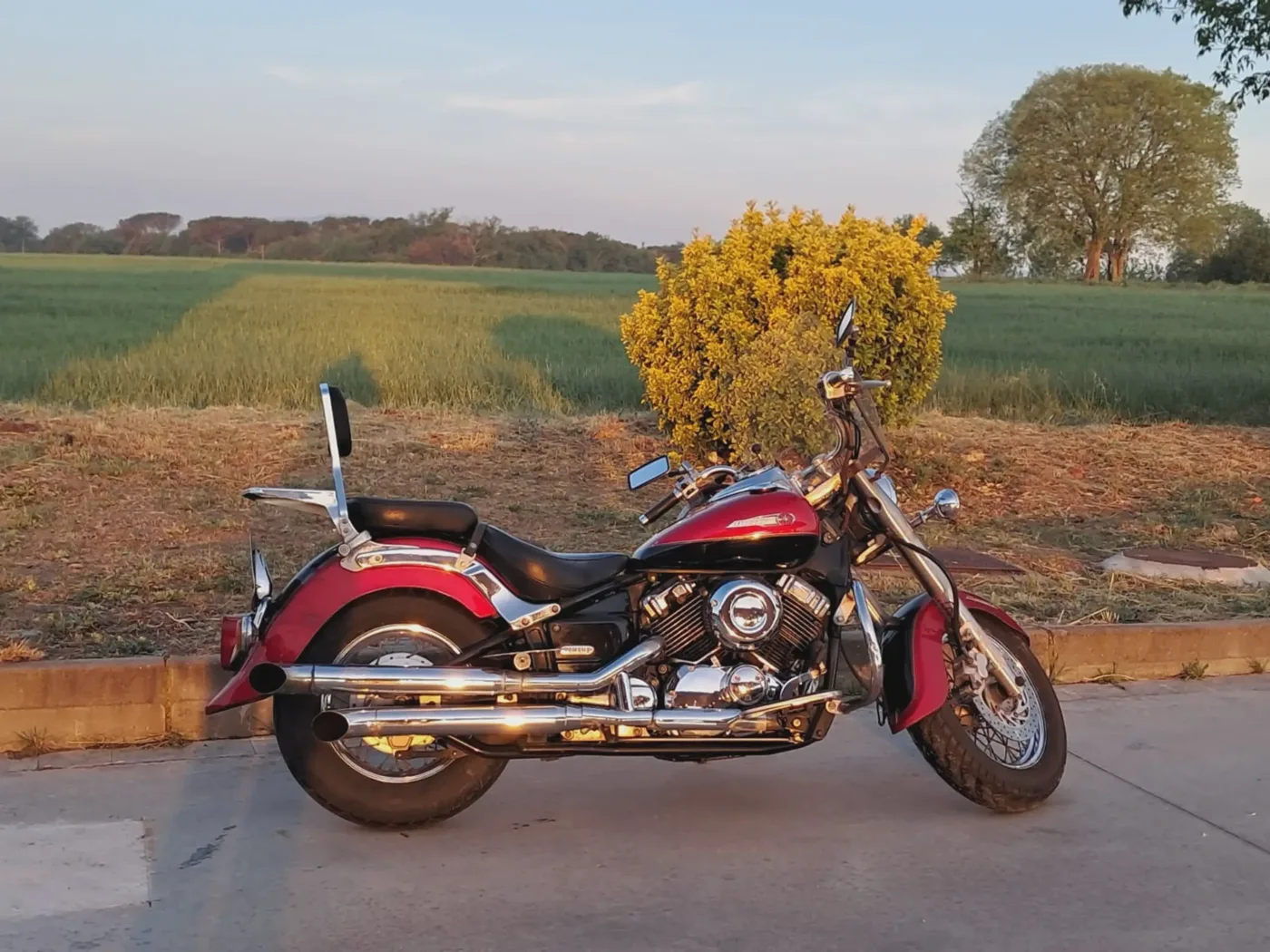 Yamaha XVS650 Drag Star 3500 € 2002 Girona - 1