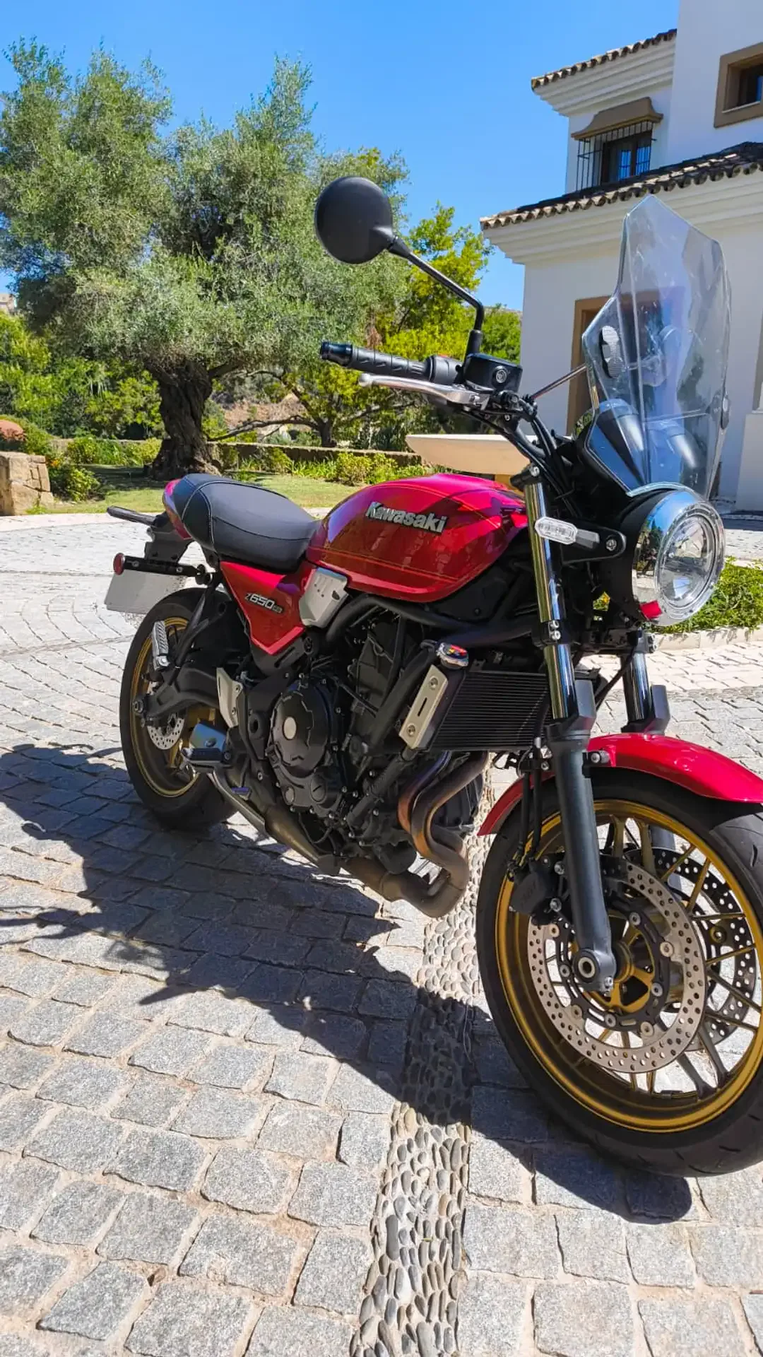 Kawasaki Z650RS - Vista 1