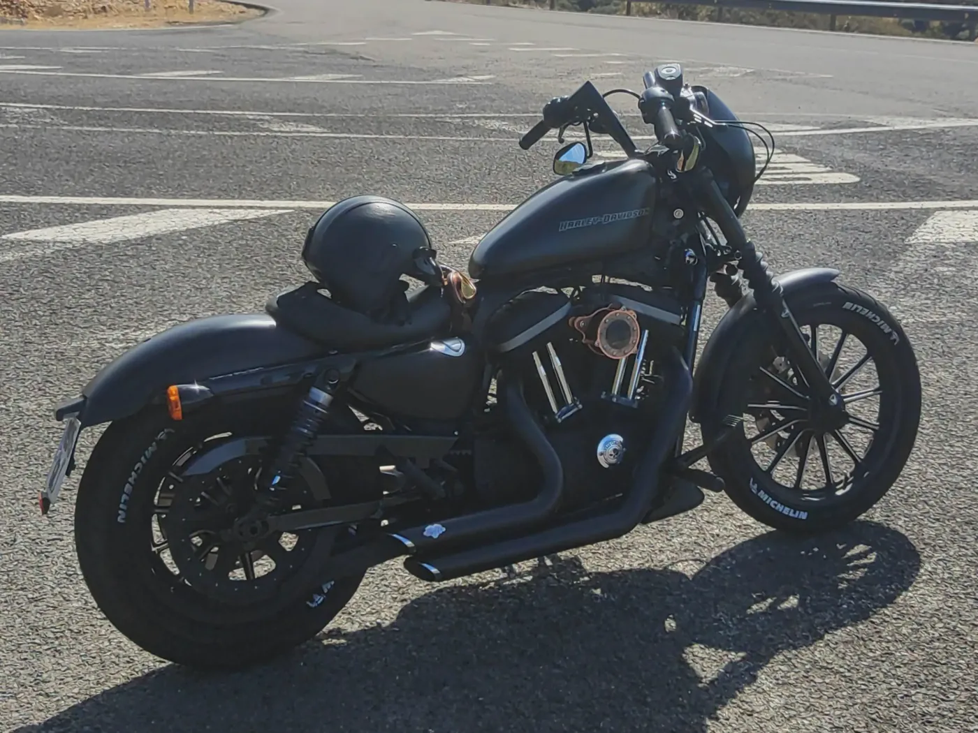 Harley-Davidson Iron 883 8900 € 2009 Ciudad Real - 1