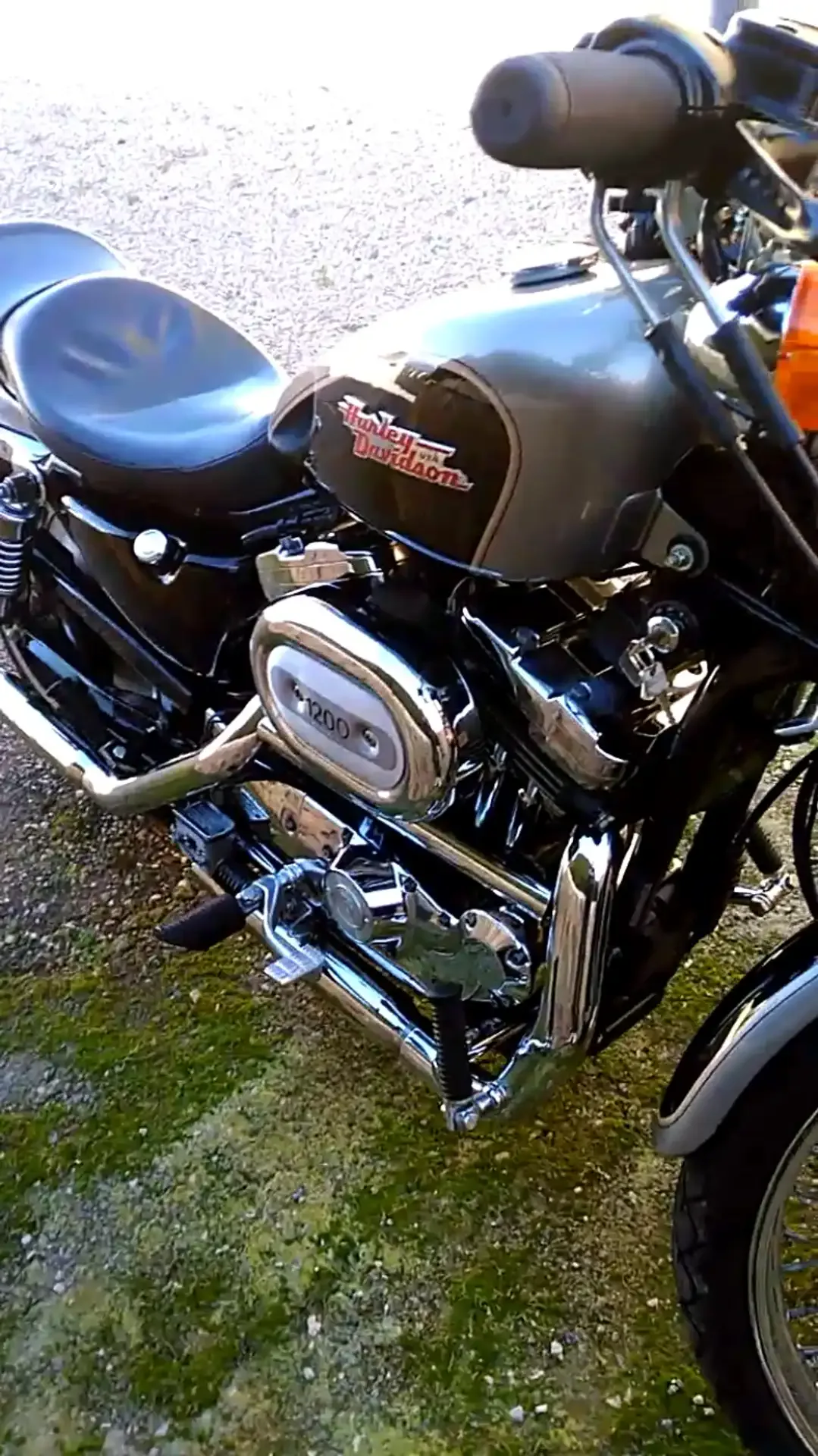 Harley-Davidson Sportster 1200 10.500 € 1996 Alicante - 1