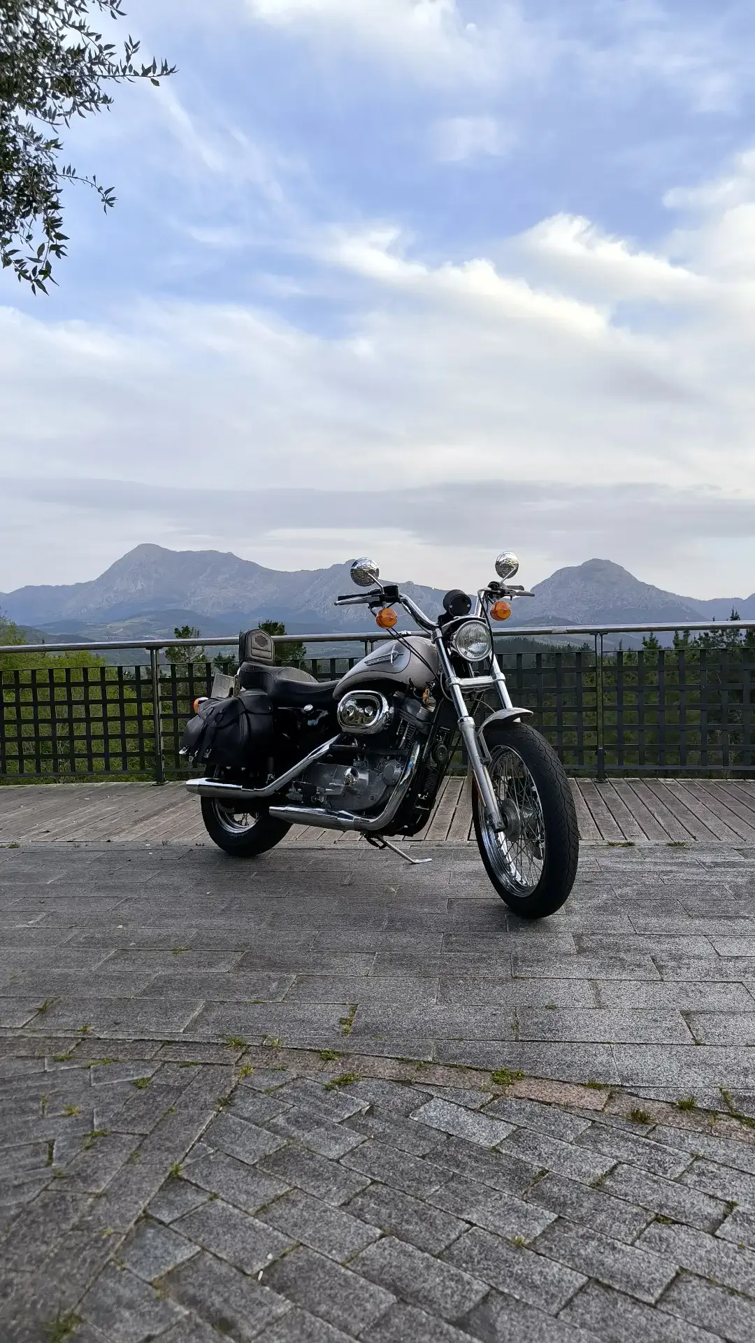 Harley-Davidson Sportster 883 - Vista 1