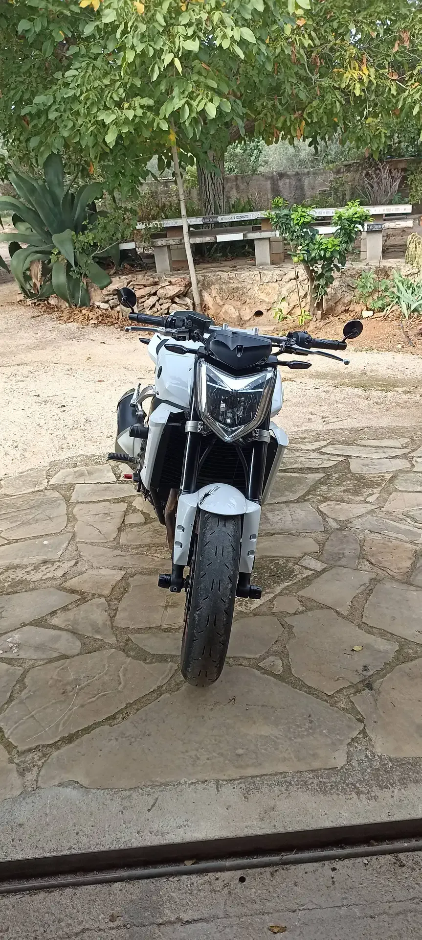 Yamaha FZ1 5500 € 2008 Tarragona - 1